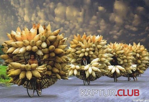 d36767da2cfe7585b66ffd05adc.jpg | Рено Каптур Клуб Россия | Форум KAPTUR.SU