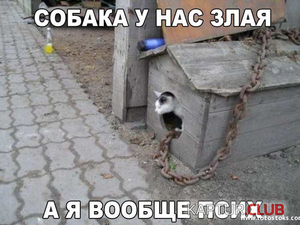 d3a3ca60b96fc6db12c63b1d7a3.jpg | Рено Каптур Клуб Россия | Форум KAPTUR.SU