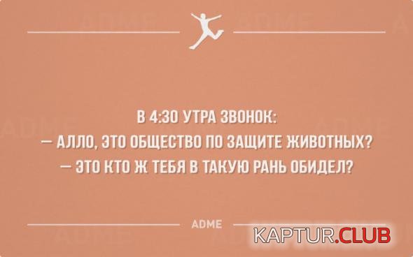 d3c9e8b18a3b6c27787e1f790c8_prev.jpg | Рено Каптур Клуб Россия | Форум KAPTUR.SU