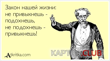 d4377e3a454346b86990b57aaa1.jpg | Рено Каптур Клуб Россия | Форум KAPTUR.SU