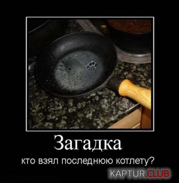 d45e53e6c7d1d301fc0ff878714_prev.jpg | Рено Каптур Клуб Россия | Форум KAPTUR.SU