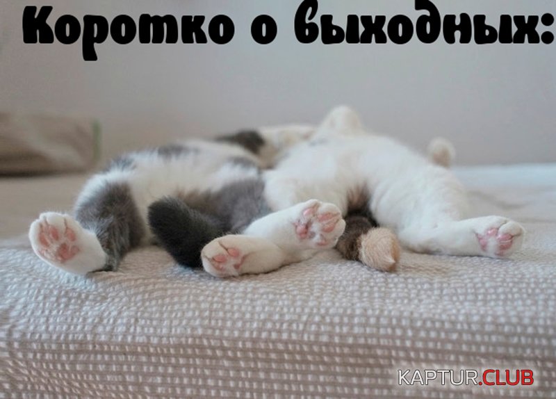 d4ae1c78b3e0f828c64a883b6ff.jpg | Рено Каптур Клуб Россия | Форум KAPTUR.SU