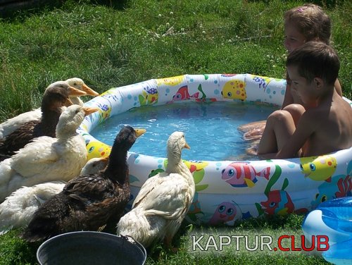 d4e5d8bc31881b4341cc9df9ee4f6360_full.jpg | Рено Каптур Клуб Россия | Форум KAPTUR.SU