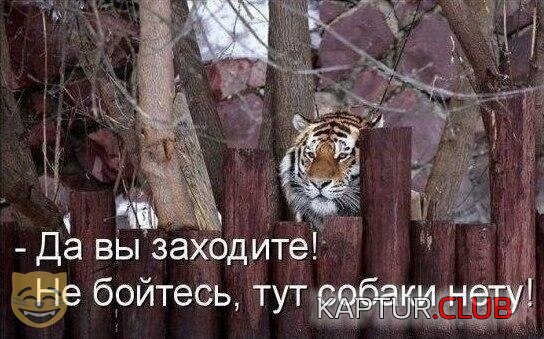 d5120b14aca67180f08fb31a5a4.jpg | Рено Каптур Клуб Россия | Форум KAPTUR.SU