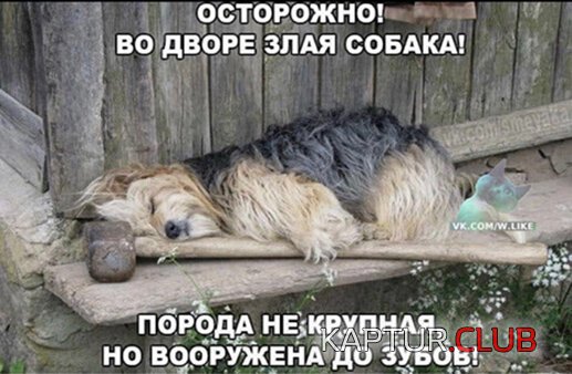 d5d6cf0ddccd620c12dc8c958c9.jpg | Рено Каптур Клуб Россия | Форум KAPTUR.SU