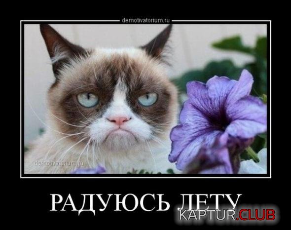 d5dd9cbff3d8fd53941bab12403_prev.jpg | Рено Каптур Клуб Россия | Форум KAPTUR.SU