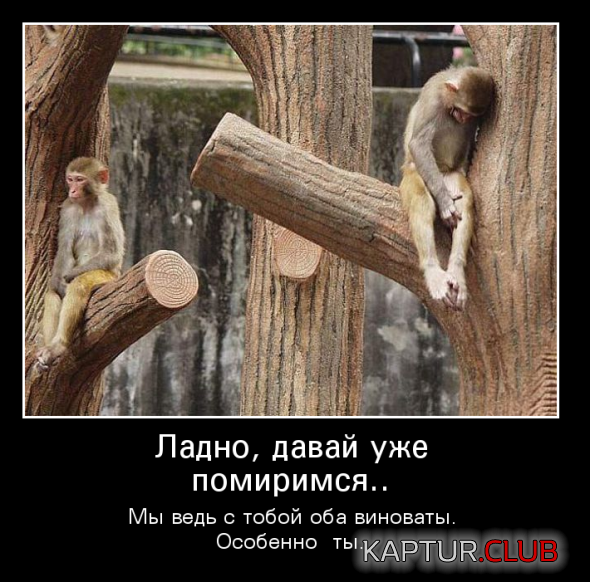 d600dc3ba413b2845fdc6660f3e_prev.png | Рено Каптур Клуб Россия | Форум KAPTUR.SU