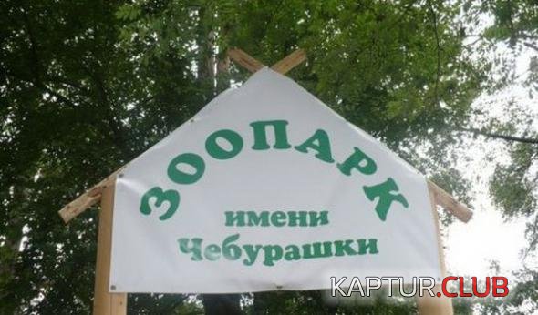 d6370656ba4d5c1c4453ff0f486.jpg | Рено Каптур Клуб Россия | Форум KAPTUR.SU