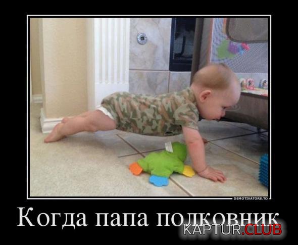 d6ca0bcd2d6ef89e11b6603191d_prev.jpg | Рено Каптур Клуб Россия | Форум KAPTUR.SU
