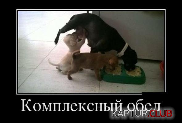 d765a3687a0296ccfa24e3aa82f_prev.jpg | Рено Каптур Клуб Россия | Форум KAPTUR.SU