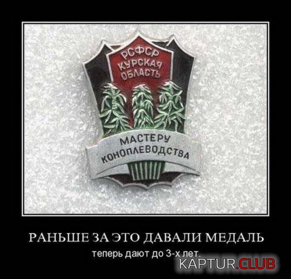 d76e6fe59868977b0bbe048d7e5_prev.jpg | Рено Каптур Клуб Россия | Форум KAPTUR.SU