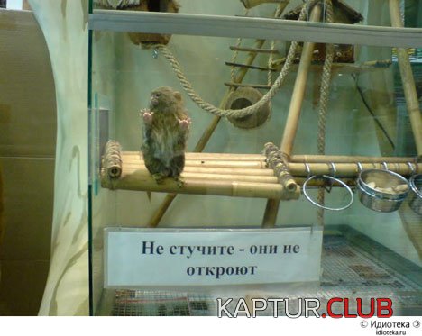 d7b6725dd775bc3a1b68628cd651826f_full.jpg | Рено Каптур Клуб Россия | Форум KAPTUR.SU