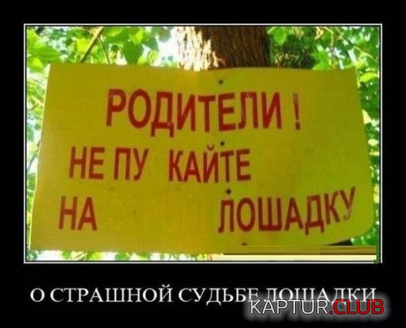 d7df9d3e1fa420022dd563410a2_prev.jpg | Рено Каптур Клуб Россия | Форум KAPTUR.SU
