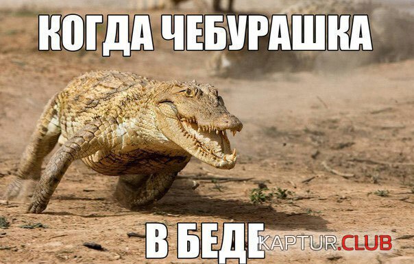 d834a7abf3c0d1d5589deaab58c.jpg | Рено Каптур Клуб Россия | Форум KAPTUR.SU