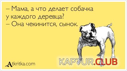 d83b64487ab5a391dbaee575e14.jpg | Рено Каптур Клуб Россия | Форум KAPTUR.SU