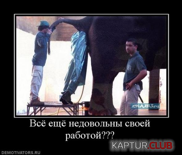 d88e287cb57afad8138f3bc45ea_prev.jpg | Рено Каптур Клуб Россия | Форум KAPTUR.SU
