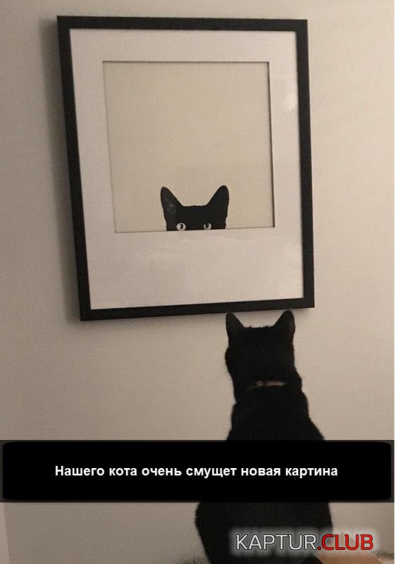 d8bccfe3255561fc6af1cf0da8f_prev.jpg | Рено Каптур Клуб Россия | Форум KAPTUR.SU