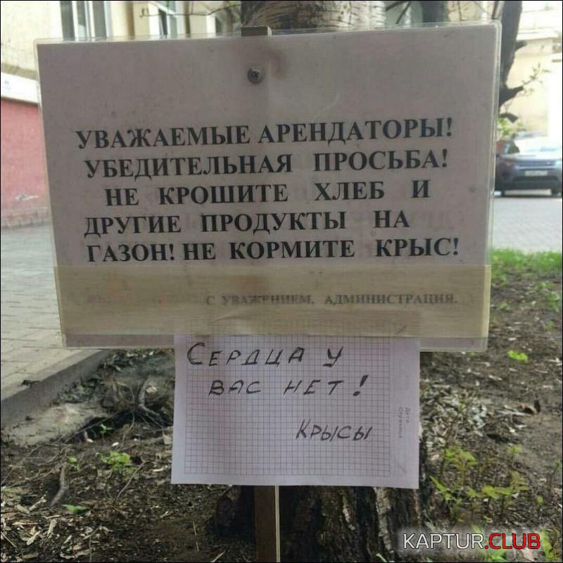 d9527844e84360d528ec224c59a_prev.jpg | Рено Каптур Клуб Россия | Форум KAPTUR.SU