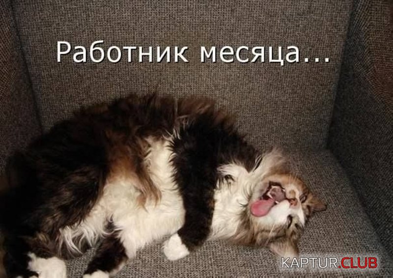 d9b1fddadbd98c8baa15ea9b96a.jpg | Рено Каптур Клуб Россия | Форум KAPTUR.SU