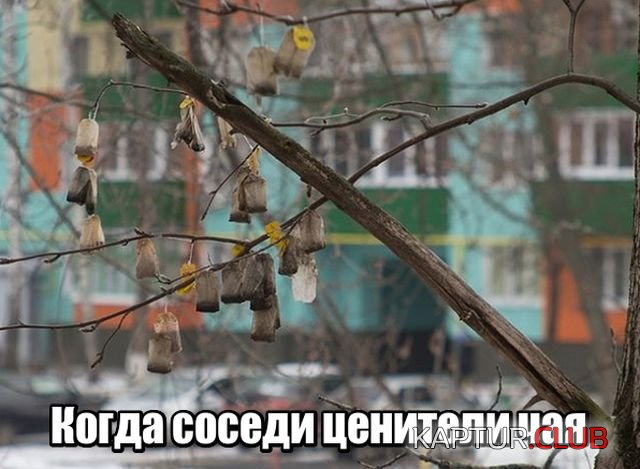 d9d216453e8c35dfbb12e4401db.jpg | Рено Каптур Клуб Россия | Форум KAPTUR.SU