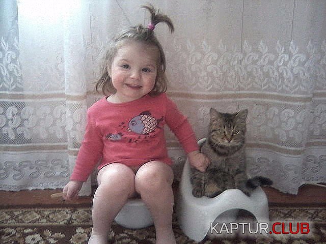 dc28c41a2b2671f6322e13e807c.jpg | Рено Каптур Клуб Россия | Форум KAPTUR.SU