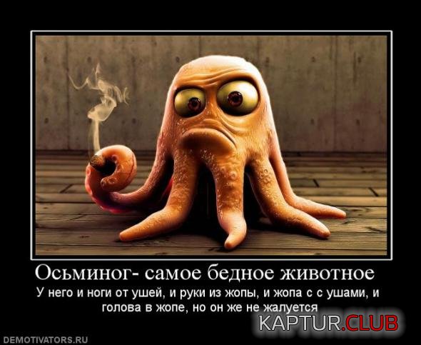 dc7600f7753bdf15c7ffc14466b_prev.jpg | Рено Каптур Клуб Россия | Форум KAPTUR.SU