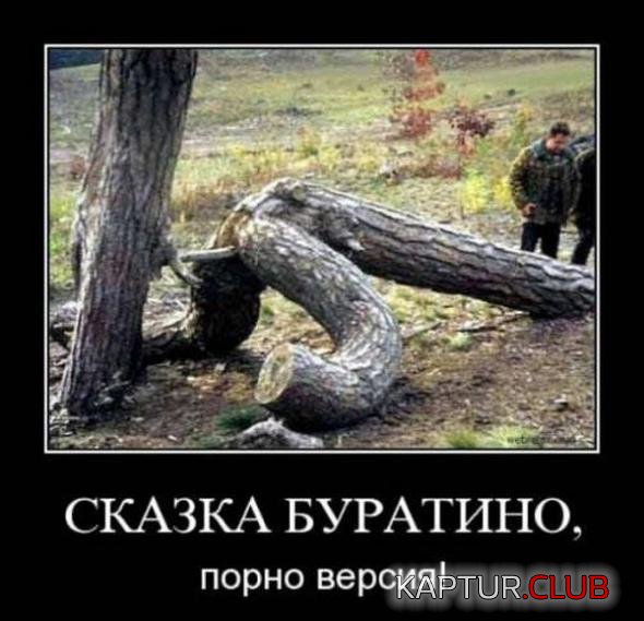 dcdbb2d14efad14ae8b57e6a329_prev.jpg | Рено Каптур Клуб Россия | Форум KAPTUR.SU