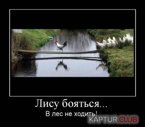 dd06313e1d727683230ae2093ce_prev.jpg | Рено Каптур Клуб Россия | Форум KAPTUR.SU