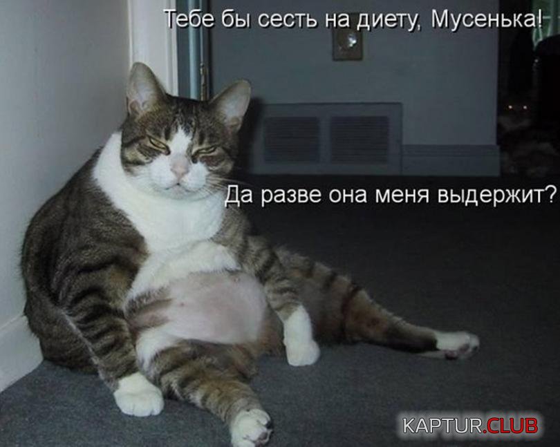 dd1be353c1d0bba933a0dcb001c_prev.jpg | Рено Каптур Клуб Россия | Форум KAPTUR.SU