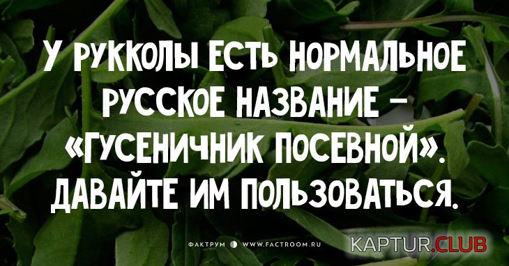 dd239dfa155c0ded4cede821866.jpg | Рено Каптур Клуб Россия | Форум KAPTUR.SU