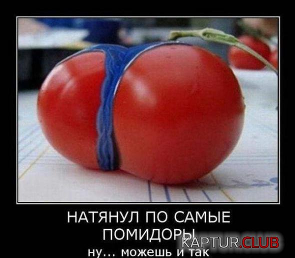 dd2f2b95595ce33eff794fa6404_prev.jpg | Рено Каптур Клуб Россия | Форум KAPTUR.SU