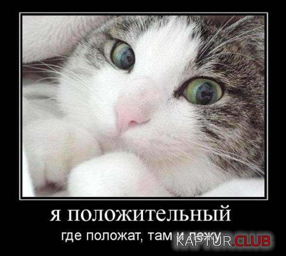 dd372f96be1fb16c2390f9da58b_prev.jpg | Рено Каптур Клуб Россия | Форум KAPTUR.SU