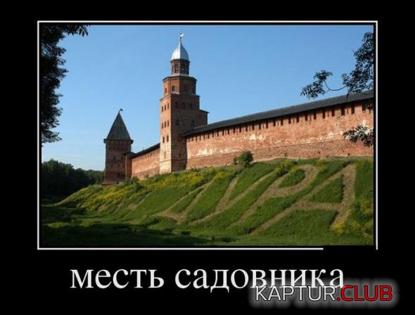 ddc7b872a26456df8aba61dfd2e_prev.jpg | Рено Каптур Клуб Россия | Форум KAPTUR.SU