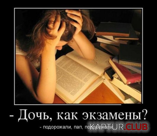 ddefc787f8215436fc2e43b5db1.jpg | Рено Каптур Клуб Россия | Форум KAPTUR.SU