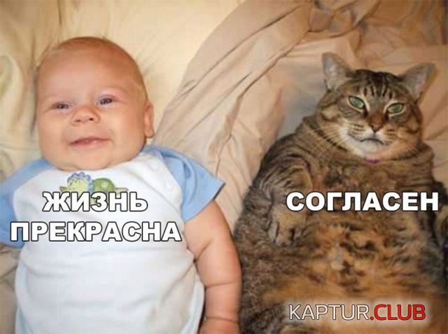 de23b9482afe41ad03b30b3b3a3.jpg | Рено Каптур Клуб Россия | Форум KAPTUR.SU