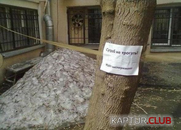 de51ea4b9cd7d7dca907766c6d2_prev.jpg | Рено Каптур Клуб Россия | Форум KAPTUR.SU