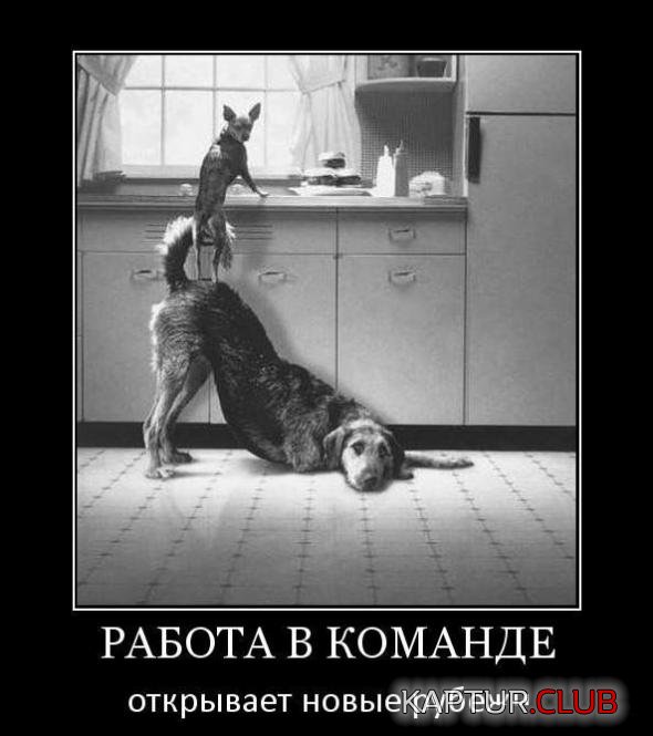 de58f1a20cc2bc890f106fb2cdf_prev.jpg | Рено Каптур Клуб Россия | Форум KAPTUR.SU