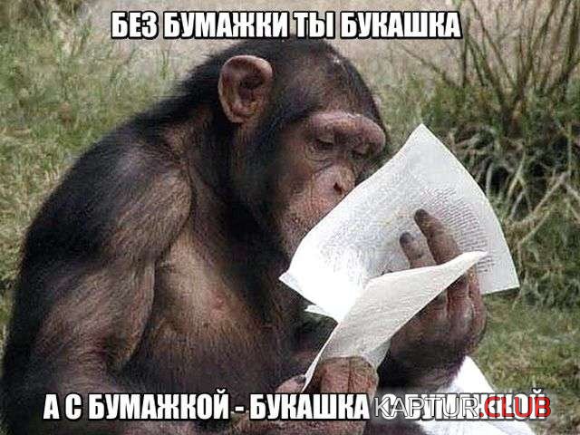 de873e0dace74e453044c7c050b.jpg | Рено Каптур Клуб Россия | Форум KAPTUR.SU