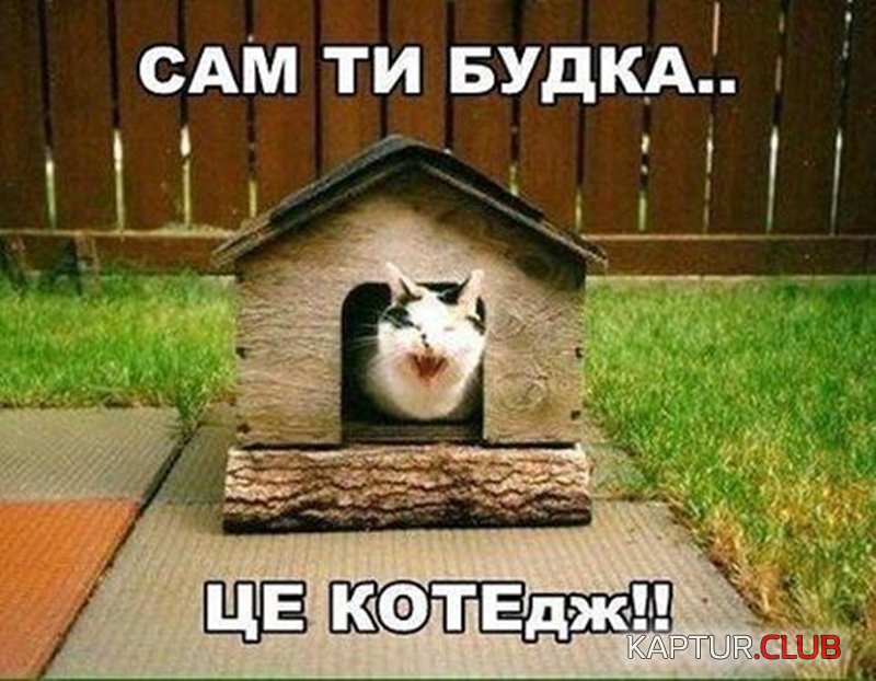 de98f051768002fee2002a1fdaa.jpg | Рено Каптур Клуб Россия | Форум KAPTUR.SU