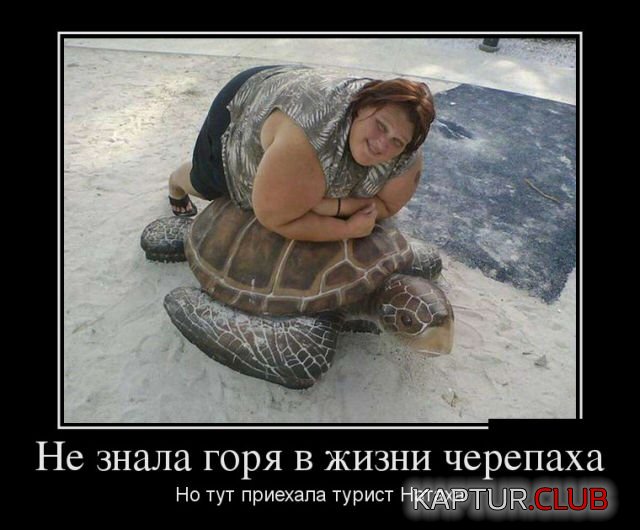 demoivatory_03.jpg | Рено Каптур Клуб Россия | Форум KAPTUR.SU