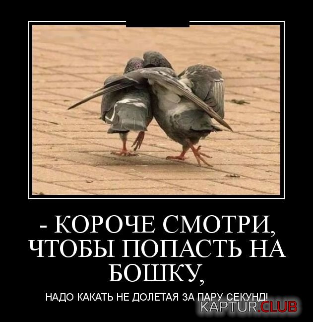 demoivatory_24.jpg | Рено Каптур Клуб Россия | Форум KAPTUR.SU