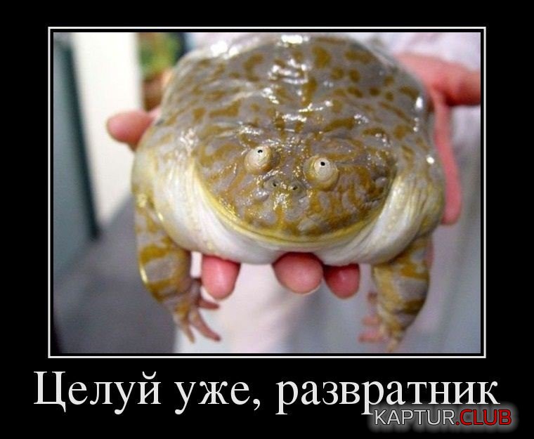 demot2404.jpg | Рено Каптур Клуб Россия | Форум KAPTUR.SU