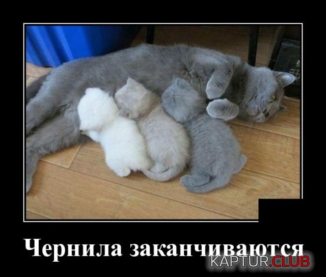 demotivatiry_13.jpg | Рено Каптур Клуб Россия | Форум KAPTUR.SU