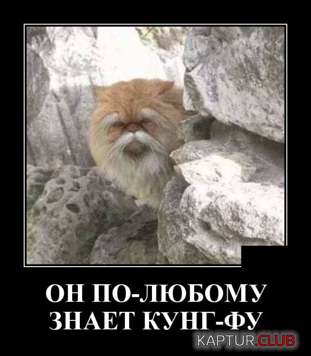 demotivatiry_24.jpg | Рено Каптур Клуб Россия | Форум KAPTUR.SU