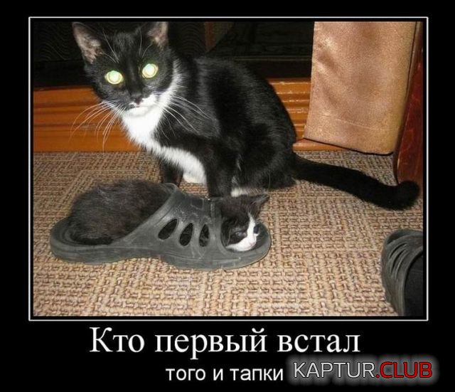 demotivator_14.jpg | Рено Каптур Клуб Россия | Форум KAPTUR.SU