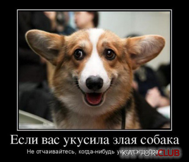 demotivators_01.jpg | Рено Каптур Клуб Россия | Форум KAPTUR.SU