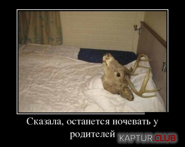 demotivators_06.jpg | Рено Каптур Клуб Россия | Форум KAPTUR.SU