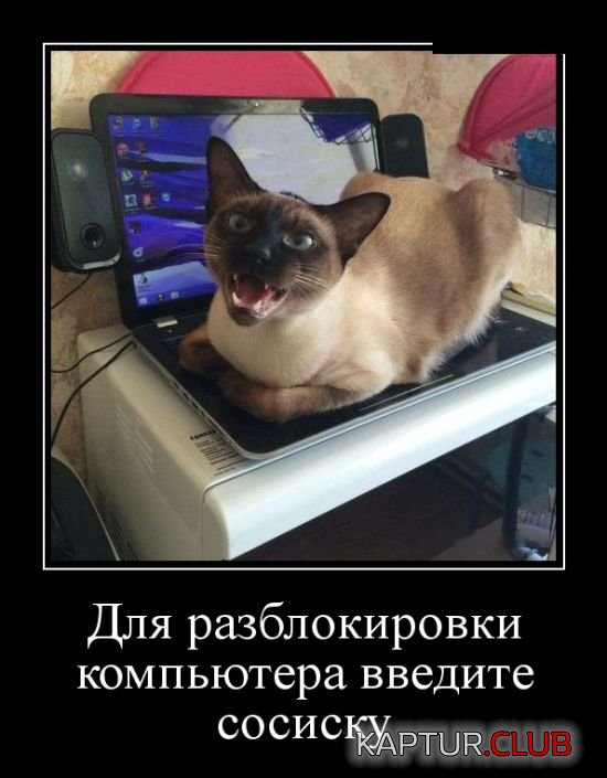 demotivatory_01.jpg | Рено Каптур Клуб Россия | Форум KAPTUR.SU