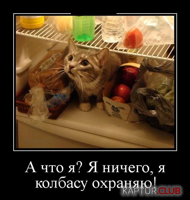 demotivatory_01.jpg | Рено Каптур Клуб Россия | Форум KAPTUR.SU