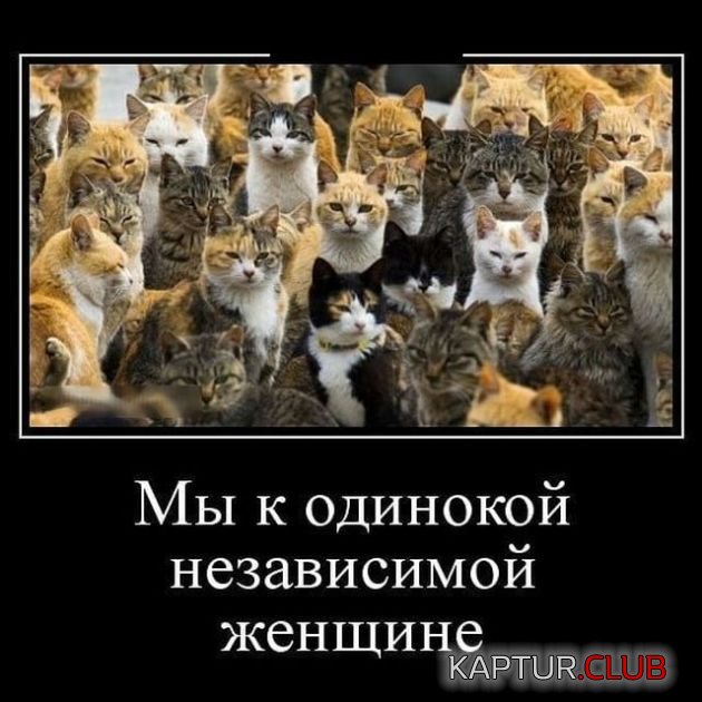 demotivatory_01.jpg | Рено Каптур Клуб Россия | Форум KAPTUR.SU